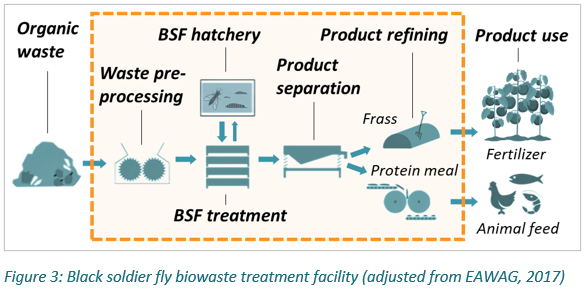 Black Soldier Fly Biowaste Processing 5x